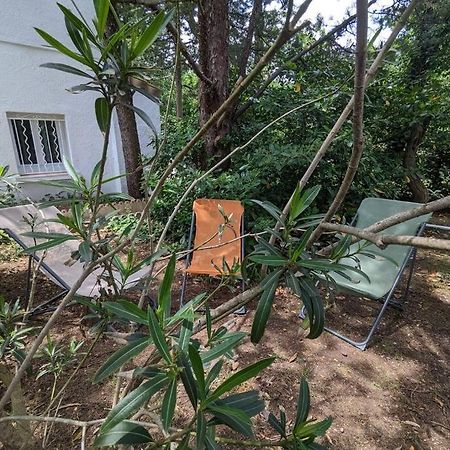 Maison Spacieuse Et Lumineuse 4 Personnes Lavilledieu  Eksteriør billede