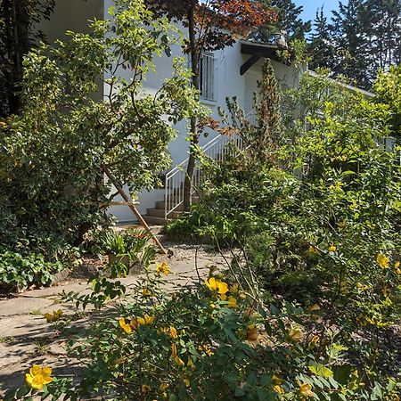 Maison Spacieuse Et Lumineuse 4 Personnes Lavilledieu  Eksteriør billede