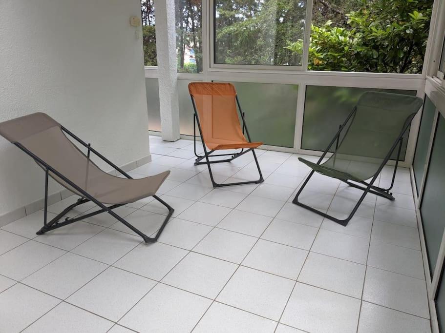 Maison Spacieuse Et Lumineuse 4 Personnes Lavilledieu  Eksteriør billede